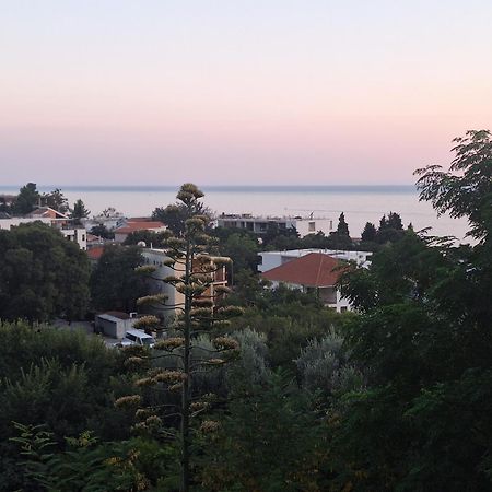 Hotel Velkom Sutomore Dış mekan fotoğraf